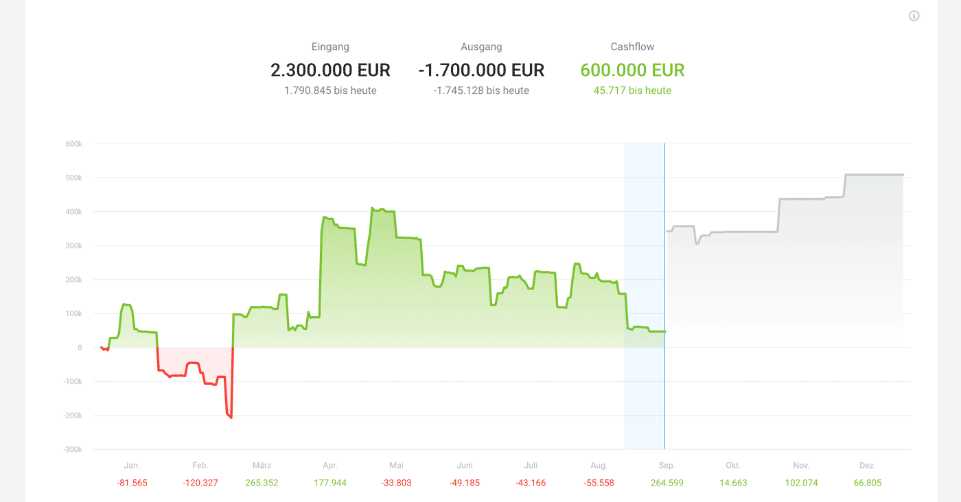 Finanzberichte Cashflow Liquiditätsplanung Zahlungen