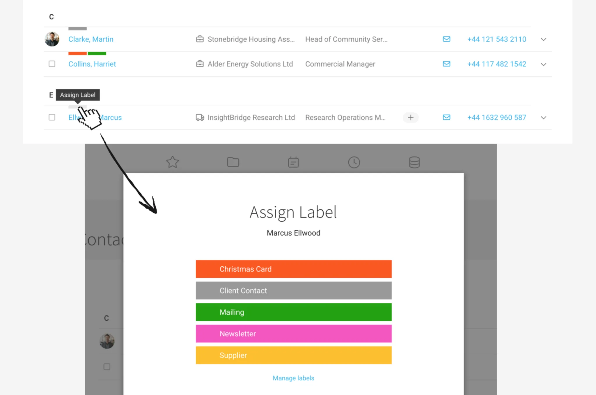 CRM Contacts and Client Tags CRM Contacts Client Tags