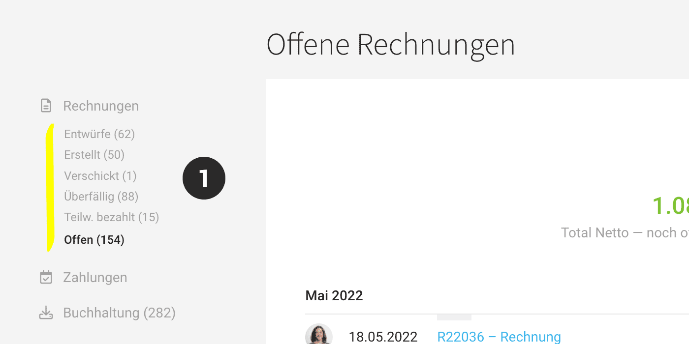 Offene Rechnungen Debitoren