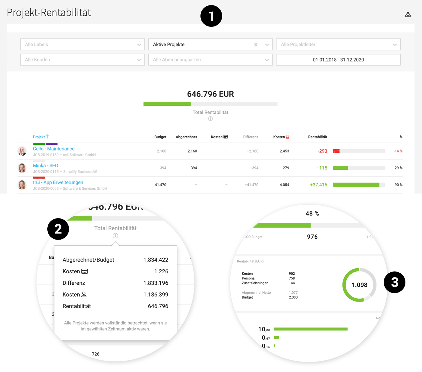 Projektcontrolling Rentabilität Agentursoftware